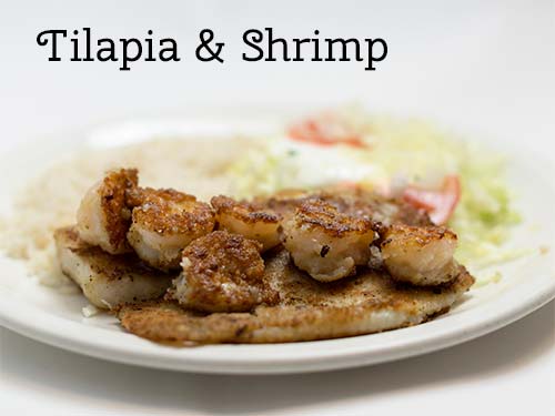 Tilapia & Shrimp